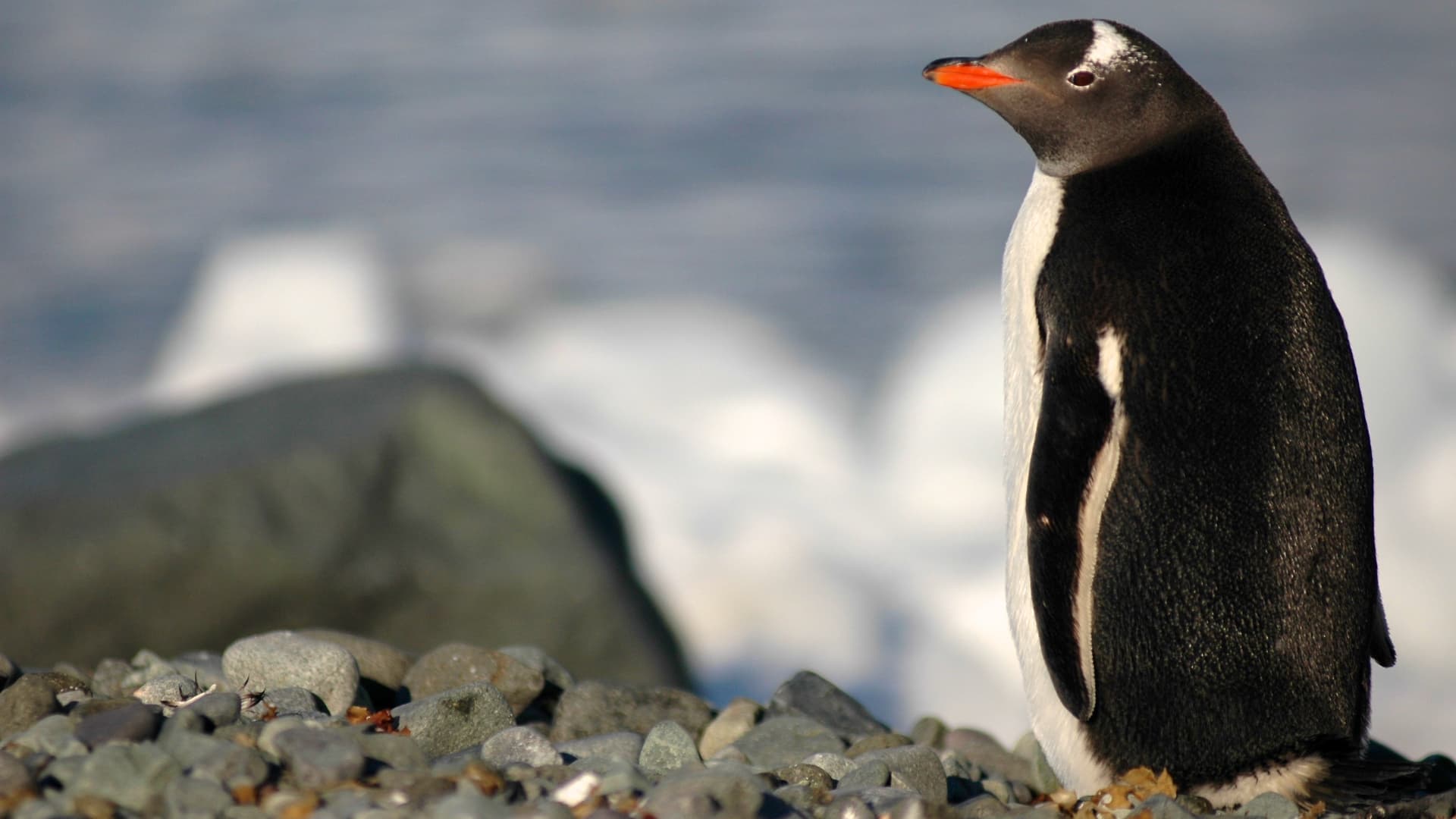 ANTARCTICA TRAVERSE