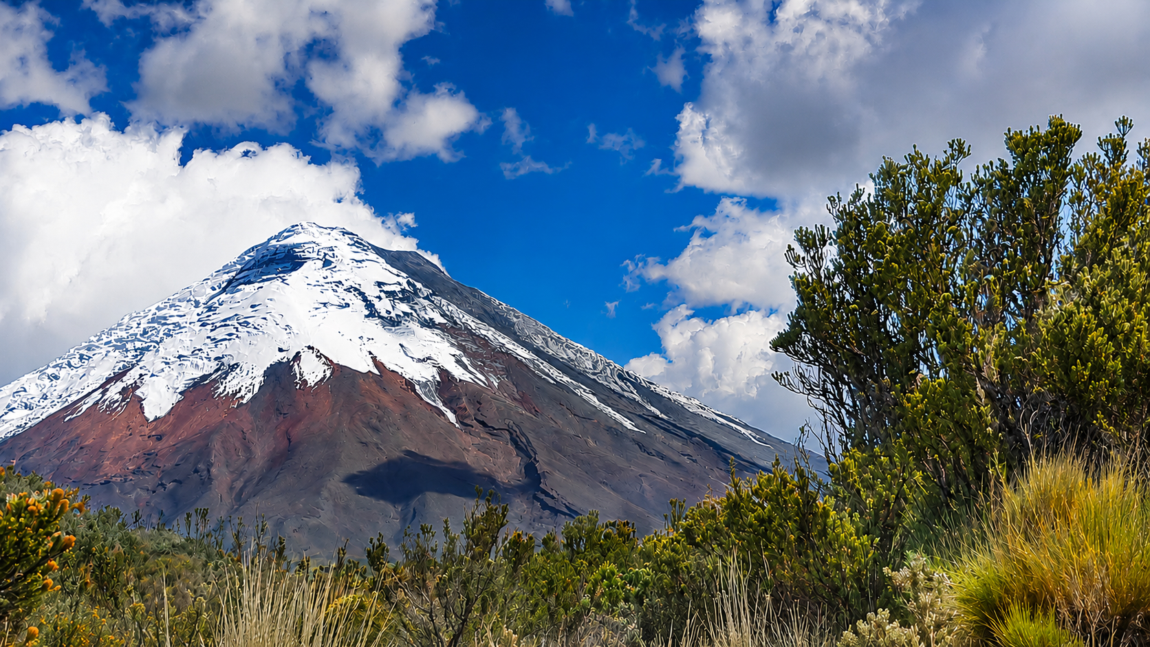 COTOPAXI