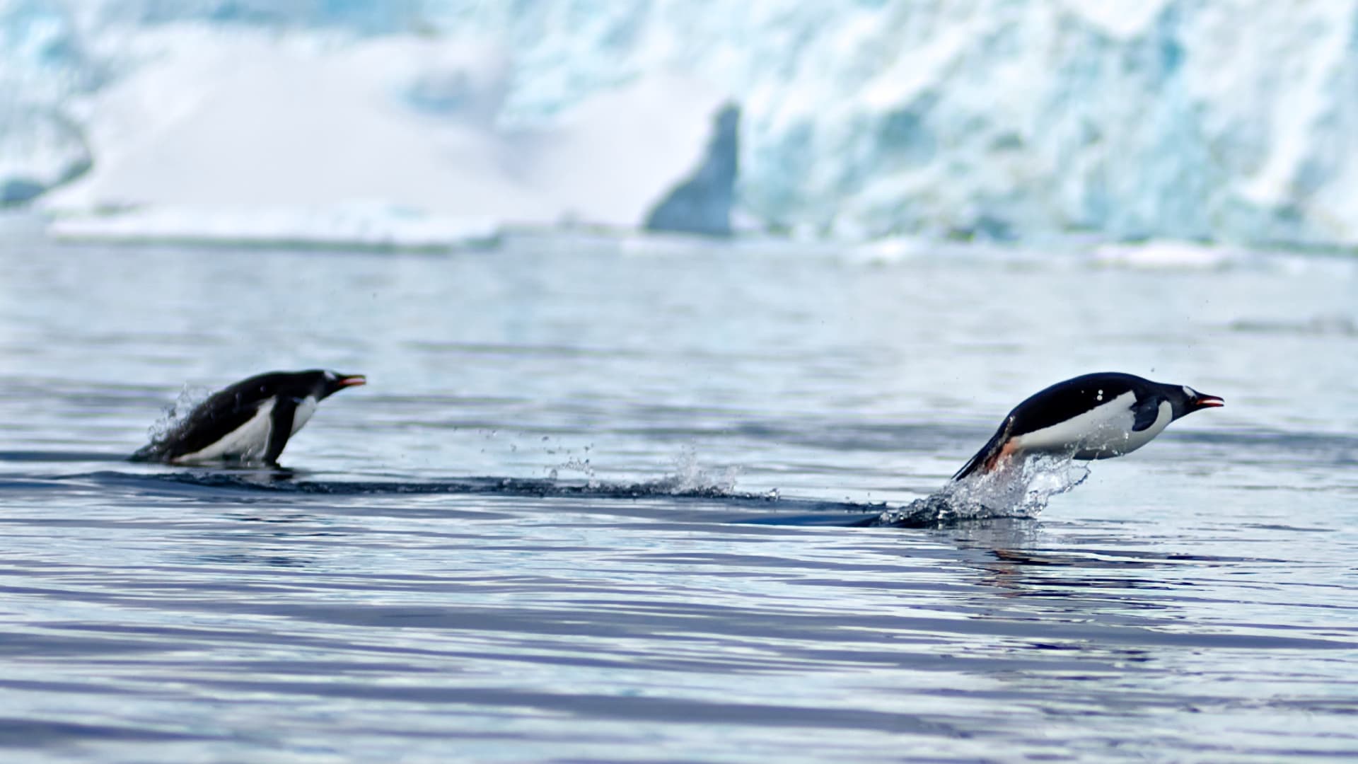 ANTARCTICA TRAVERSE